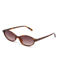 Robert Sunglasses Tortoise