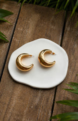 Lewis Earrings Gold