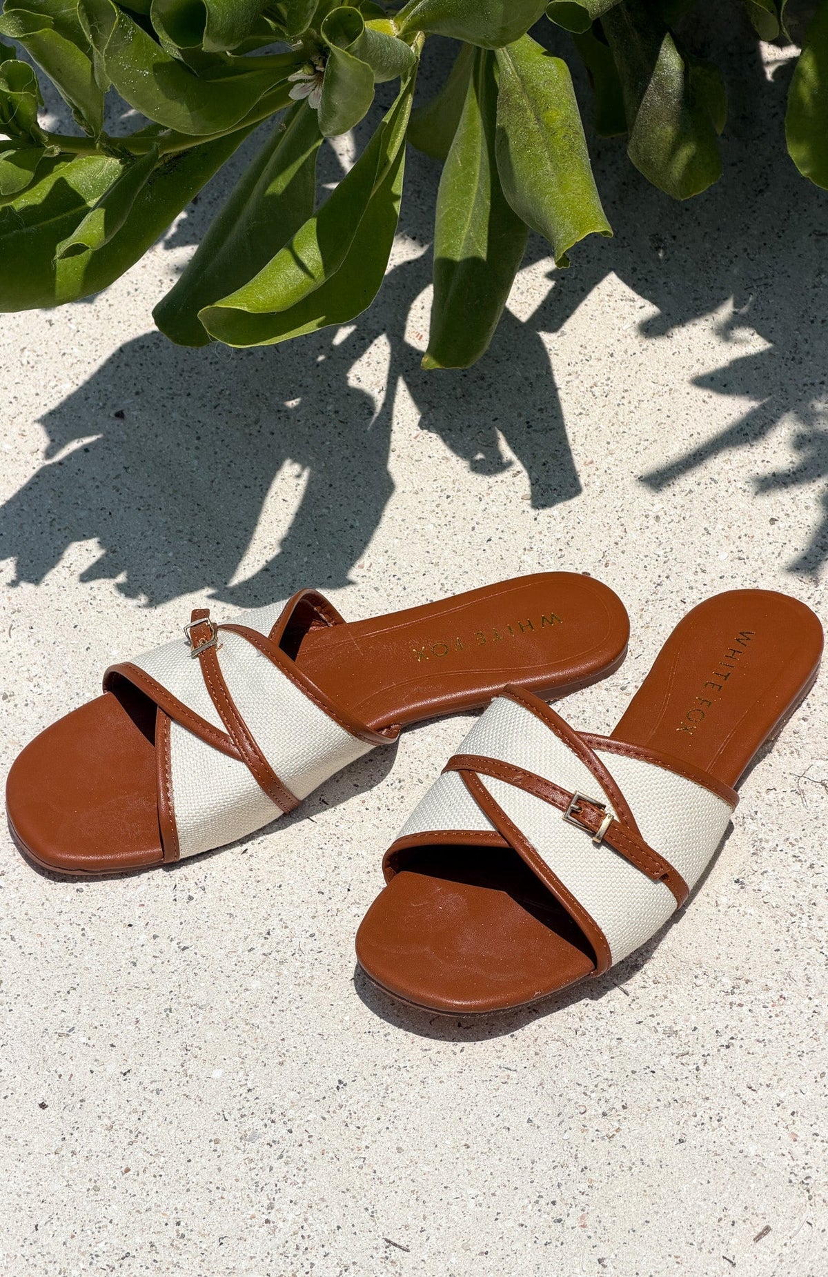 Pearson Slides Tan