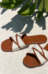 Pearson Slides Tan