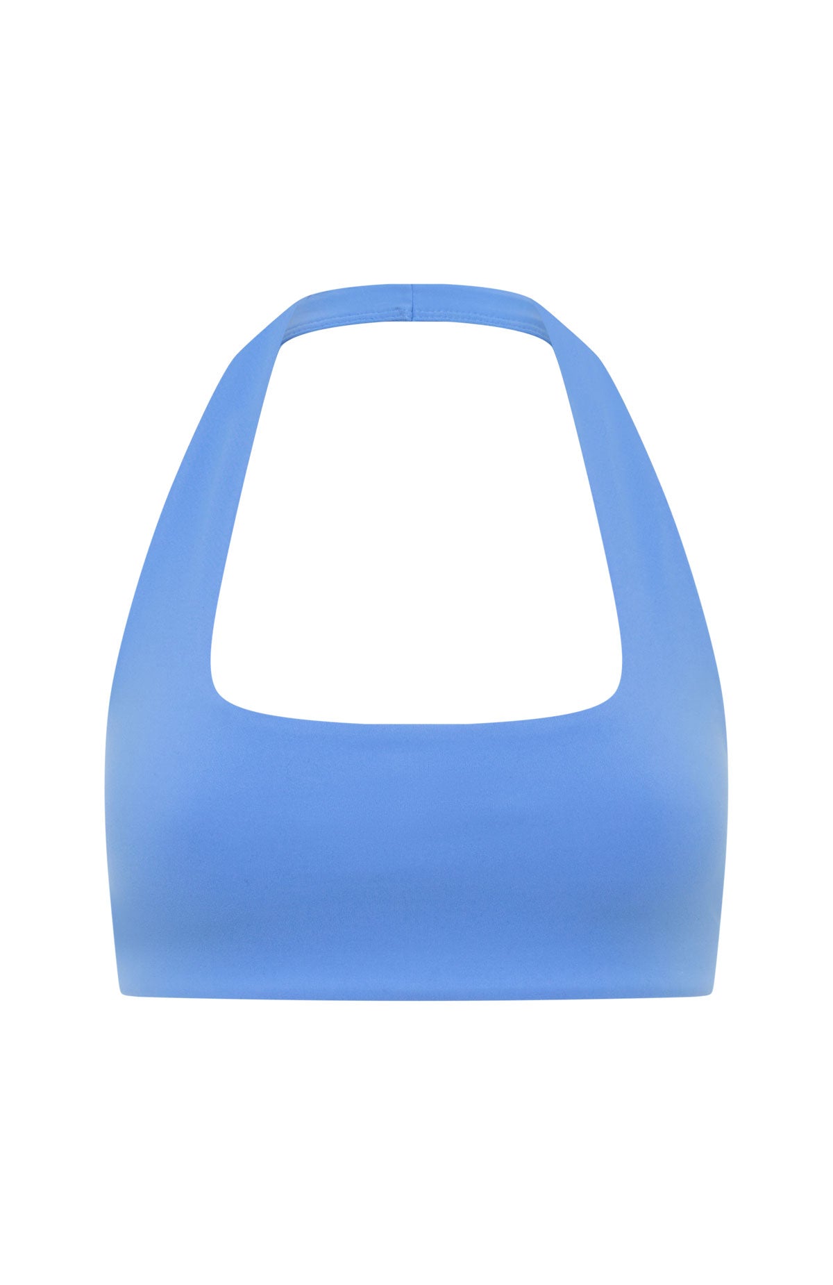 Physical Sports Bra Blueberry